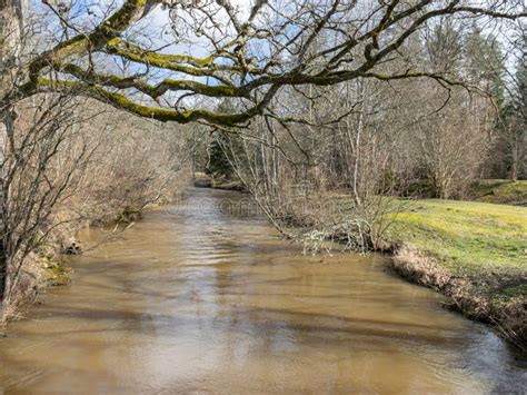 Spring Landscape With River And Naked Trees On The River Bank Stock Image Image Of Tree Trees