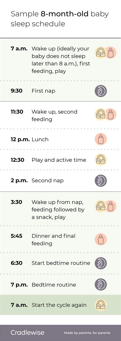 8 month old baby sleep schedule: A guide