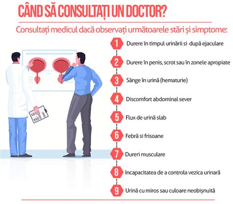 Prostata Roluri Structură Teste Adenom De Prostată Prostatita Medic Chat