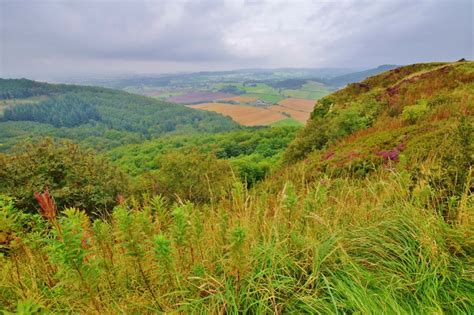 22 reasons to visit North York Moors National Park - Becky the Traveller