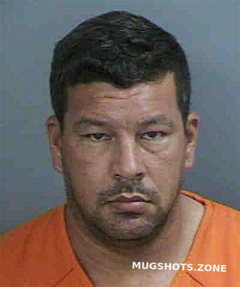 Rodriguezestrada Braya Collier County Mugshots Zone