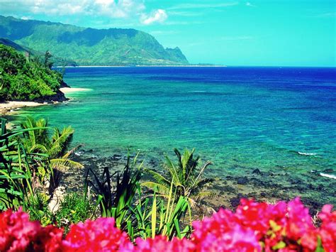 Hawaii+Vacations | hawaii usa Hawaii Travel Guide to Vacation in Hawaii ...