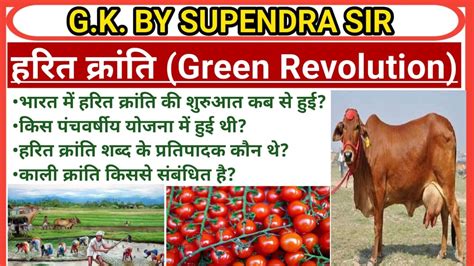 हरित क्रांति क्या है Green Revolutiin Harit Kranti Kya Hai