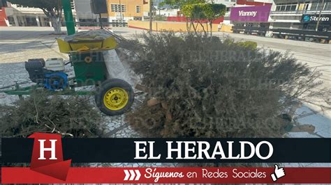 Arranca En Coatzacoalcos El Programa Recicla Tu Navidad La Meta Es