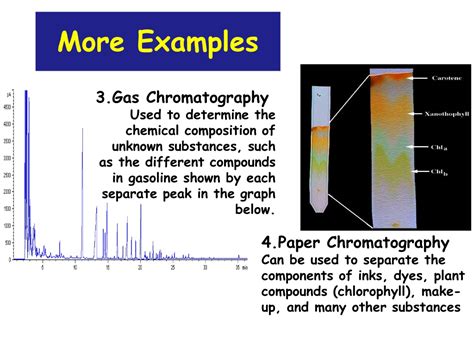 Ppt Applications In Forensic Science Powerpoint Presentation Free