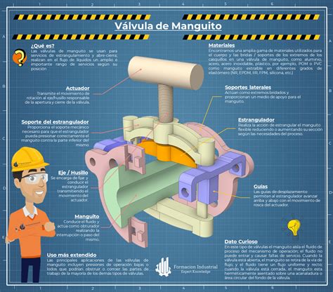 Las Válvulas de Manguito Formación Industrial