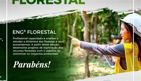 HOMENAGEM: 12 de julho – Dia do Engenheiro Florestal, profissional que ...