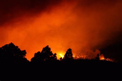 The Tenerife Forest Fire Destroys More Than 2500 Beehives