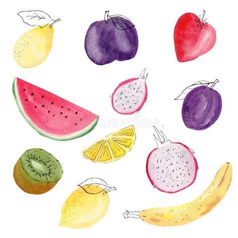 Exemplares De Aquarela De Frutos Coloridos Desenhados à Mão Ilustração