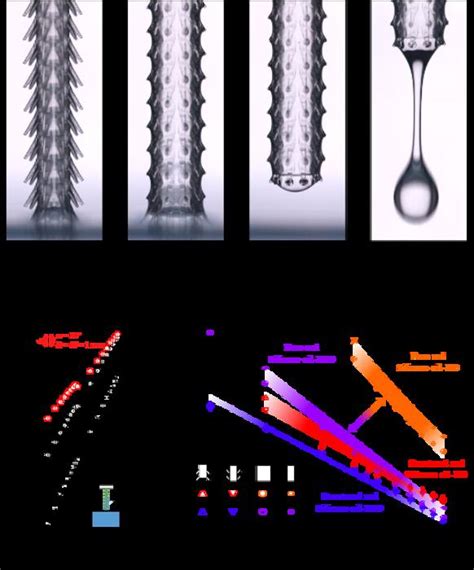 Droplet Dripping After Withdra [image] Eurekalert Science News Releases