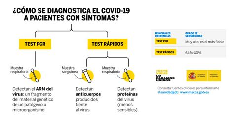 La Diferencia Entre Pcr Test De Ant Genos Y An Lisis Serol Gico