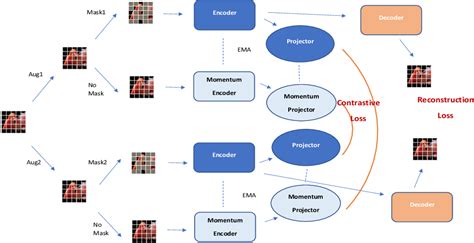 Masked Contrastive Representation Learning Paper And Code Catalyzex