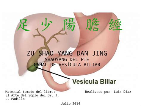 Ppt Zu Shao Yang Dan Jing Shaoyang Del Pie Canal De Ves Cula Biliar