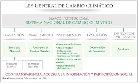 Se Turna Al Senado Proyecto De Decreto Para Modificar Art 9º De La Ley