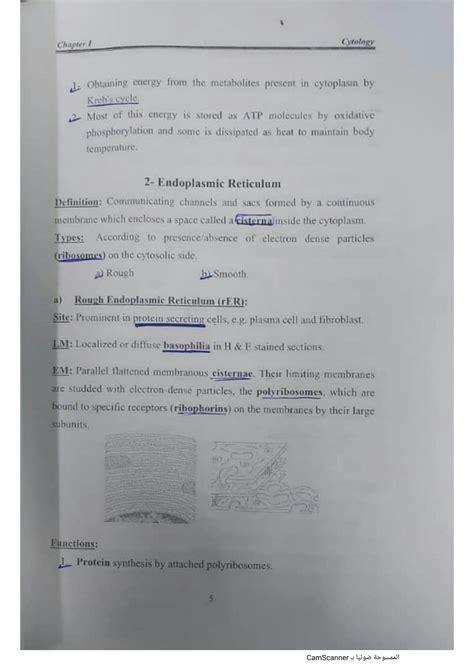 Solution Cytology Cell Organs Studypool