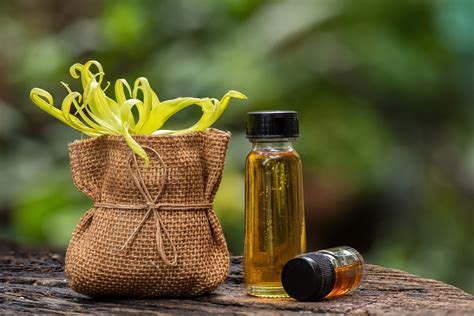 Essential Oil Of The Month Ylang Ylang Body Bliss