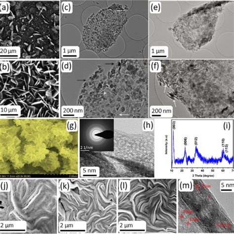 SEM Images Of GO CoAl LDH At A Low And B High LDH Nuclei