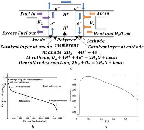 Model Of The Pemfc A Schematic Diagram Of Pemfc B Polarisation