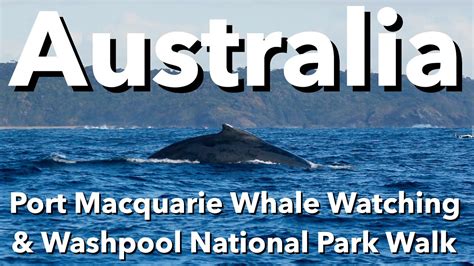 Australia Port Macquarie Whale Watching And Washpool National Park Walk