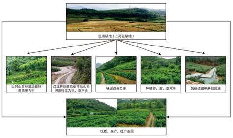 【图文解读】宣城市五大典型生态农业模式：小流域农业生态治理 郎溪县人民政府