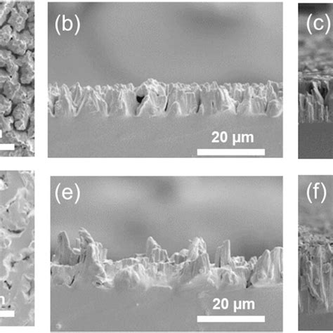 Top And Cross Sectional Fe Sem Images Of Sinw Arrays A B Si