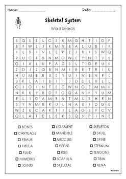 Skeletal System Word Search Activity By Mszzz Teach Tpt