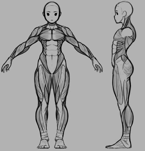 Orthographic Character Sheet Google Search Ref Images For 3D