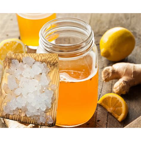 Ginger Beer Plant Starter Culture - Basic Ginger Beer Recipe HappyHerbalist