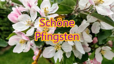 Pfingstgr E Whatsapp Kostenlos Sch Ne Pfingsten Gr E Pfingstgru