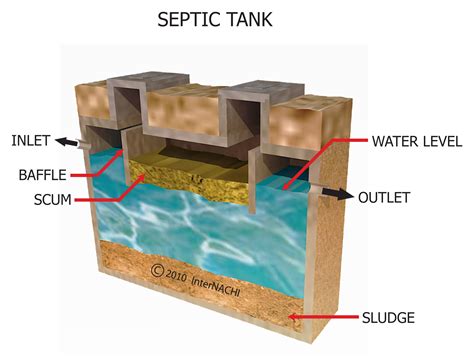 Septic Tank Inspection Gallery Internachi