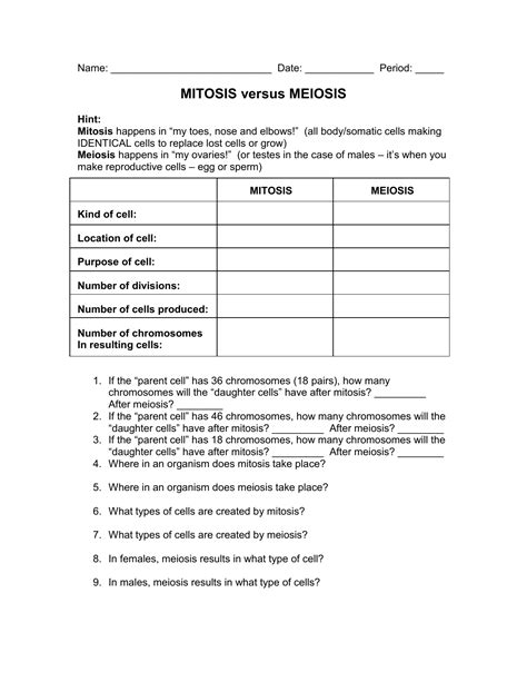 Comparison Of Mitosis And Meiosis Worksheet