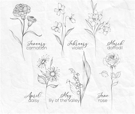 Realistic Lily Flower Stamp Brushes For Procreate Artofit