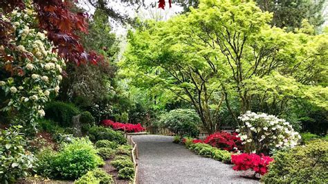 Bellevue Botanical Garden Washington State Youtube