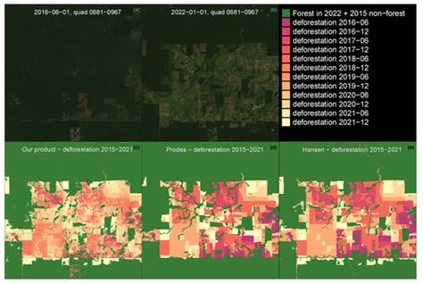 Remote Sensing Free Full Text Mapping Tropical Forest Cover And