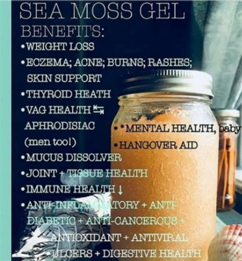 sea moss (Chondrus crispus) (2 oz – ALKALINE JUNGLE