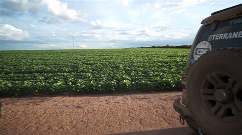 Soja Expans O Da Fronteira Agr Cola Brasil Central Terra