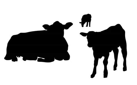 Cow Laying Down Illustrations, Royalty-Free Vector Graphics & Clip Art ...