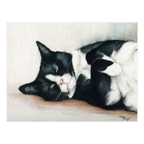 "Tuxedo Cat" Art Postcard | Zazzle.com