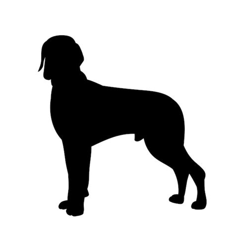 Fondo Blanco Silueta Negra De Un Perro De Pie Vector Premium