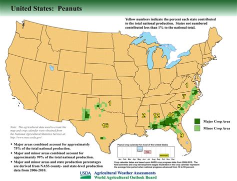 United States Peanut Production