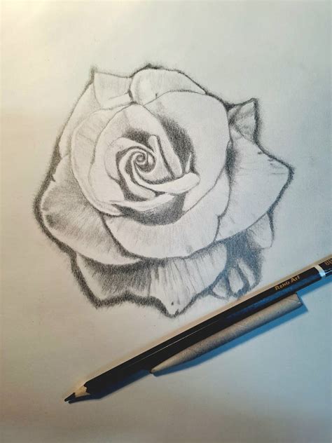 Rose shading practice by jesusxtian on DeviantArt