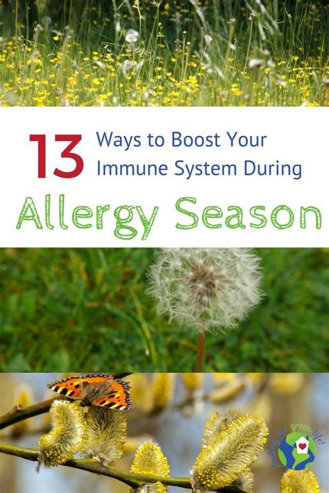 Natural Ways To Treat Seasonal Allergies And Boost Your Immune System