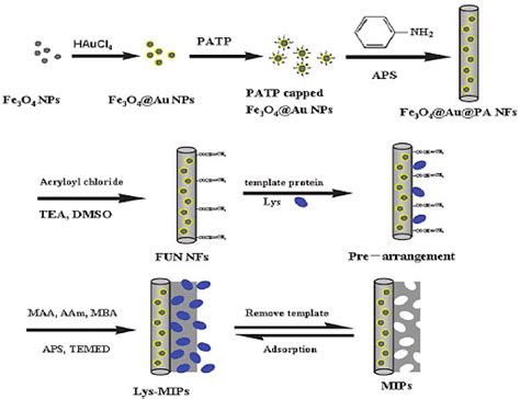 Ammonium Persulfate Structure Properties Preparation And Uses