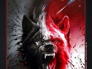 AERO Color: AERO COLOR Professional