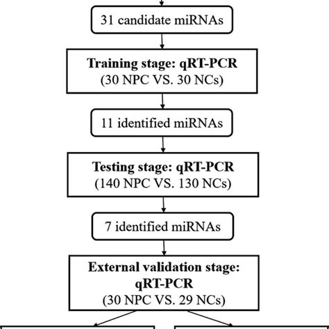 Flow Chart Of Experiment Design NPC Nasopharyngeal Carcinoma NC