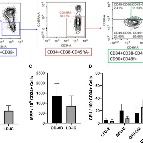 Comparison Of HSPC Populations In The CD34 Cell Fraction Of OD HPC