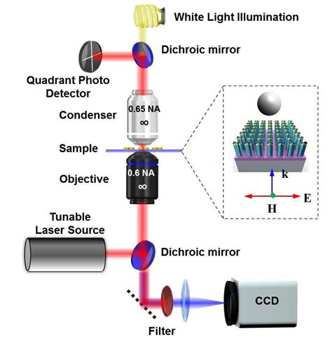 Schematic Diagram Of The Experimental Setup The Optical Wave