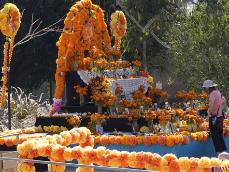 Why marigolds are the iconic flower of the Day of the Dead : NPR