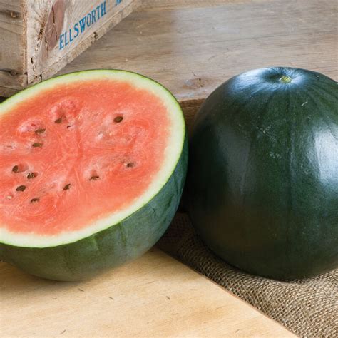 Sugar Baby Watermelon Seeds Aeseeds