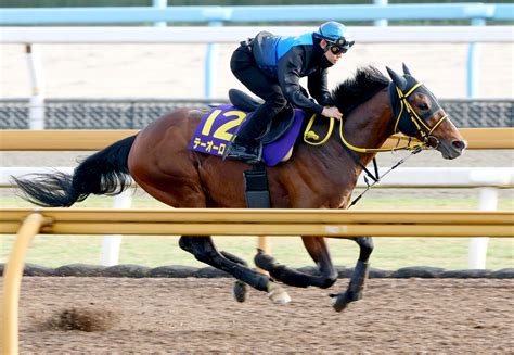 【天皇賞・春】テーオーロイヤルは成長した姿で2年ぶりの挑戦 陣営「ここを最大目標にしていました」 Umatoku 馬トク